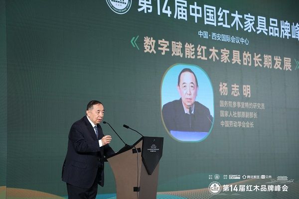 國務(wù)院參事室特邀研究員、國家人社部原副部長、中國勞動學(xué)會會長楊志明發(fā)表演講